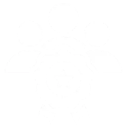 Đội ngũ & Quy trình